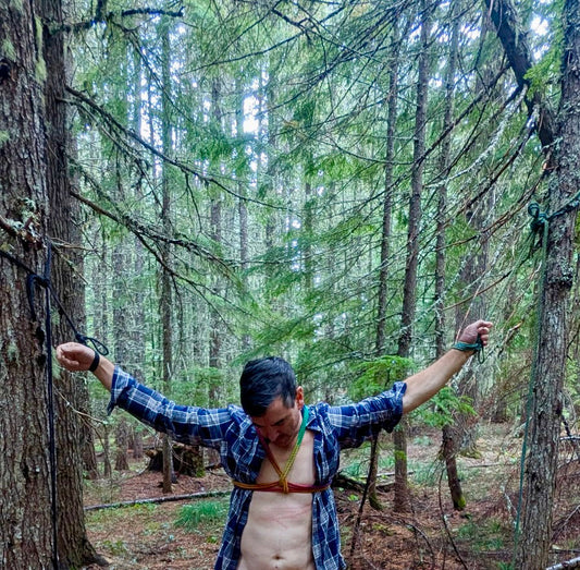 Tied up in the forest - TPE