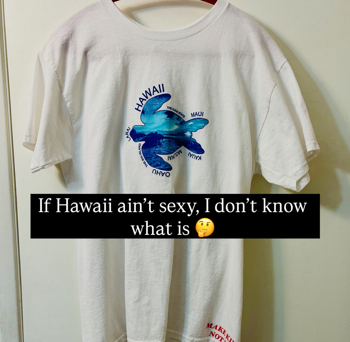 Hawaii Tourist Kink
