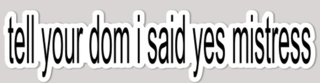 "tell your sub/dom i said" stickers