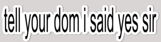 "tell your sub/dom i said" stickers